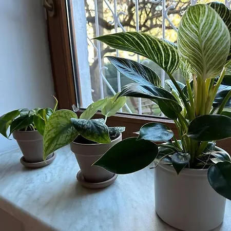 Stary Mokotow, Z Ogrodkiem Lejlighed *